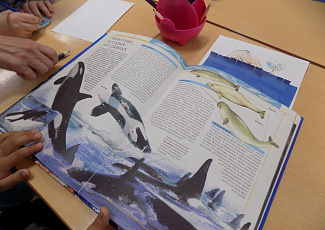 Познавательное  занятие для детей «Любит в море кит играть, Вверх фонтанчики пускать»